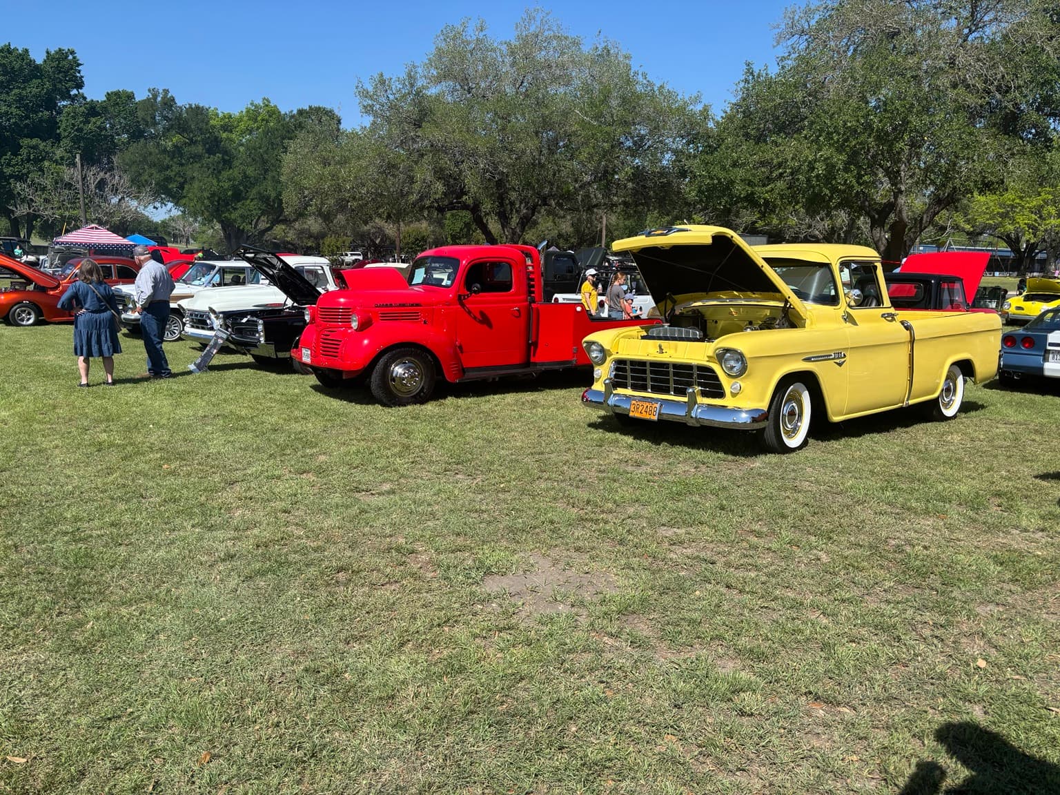 Classic cars and trucks lined up on the grass at a local outdoor car show
